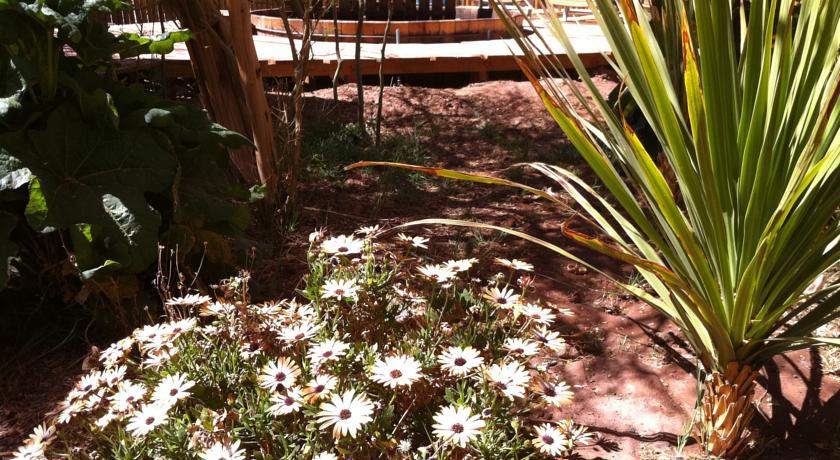 Atacama-Adventure Wellness & Ecolodge Сан Педро де Атакама Екстериор снимка